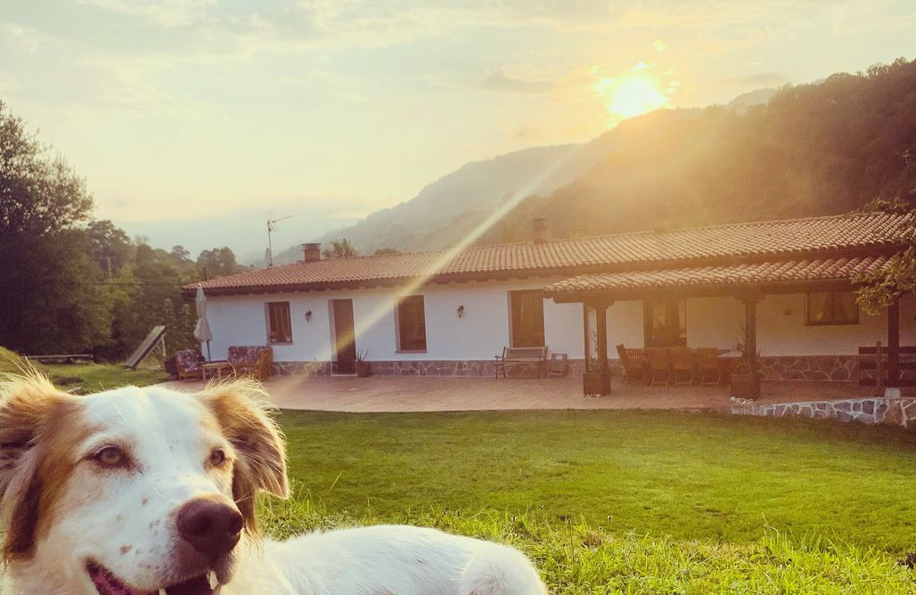 AlohaCamp Finca La Naguada, tu casa rural en Infiesto 2