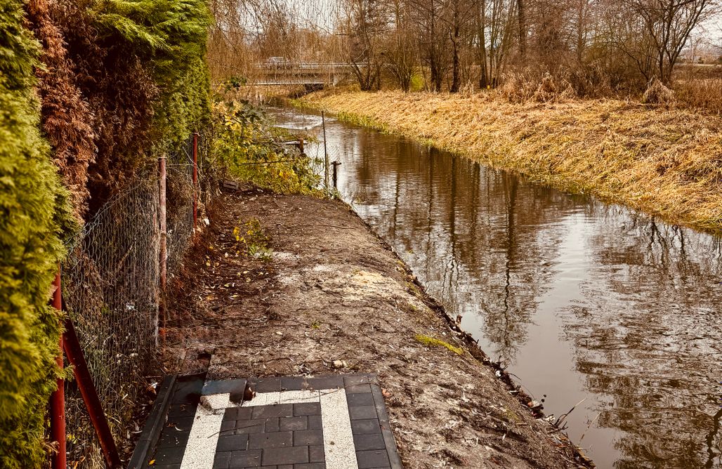 AlohaCamp Modrzewiowy Domek II 1