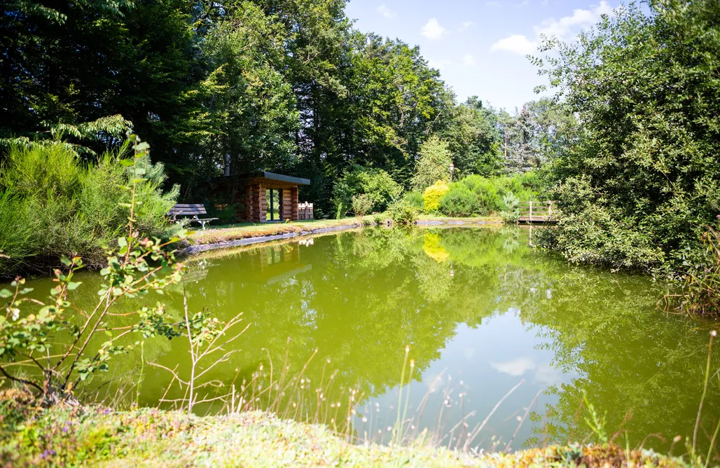 In The Mountains La Cabane de l'Etang du Domaine de la Forestière 3