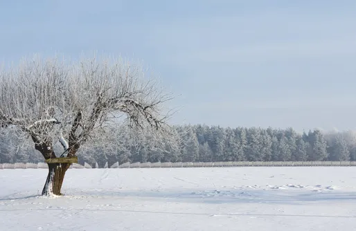 Zdjęcie obiektu Miejsce kamperowe - Winnica Dwórzno
