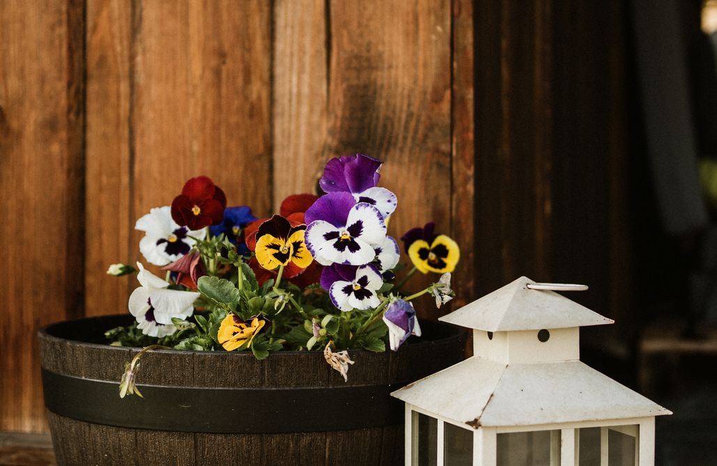 Zakopane Domki Osada Knurów 3