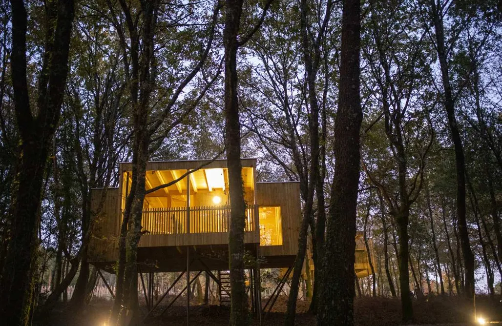 AlohaCamp accommodation Enoturismo Maria Manuela 4