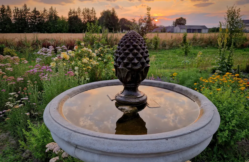 noclegi AlohaCamp Miejsce kamperowe - Kampinski Campground 1