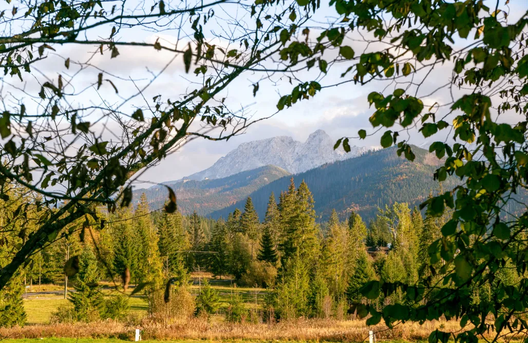 AlohaCamp Pokój nr 2 4