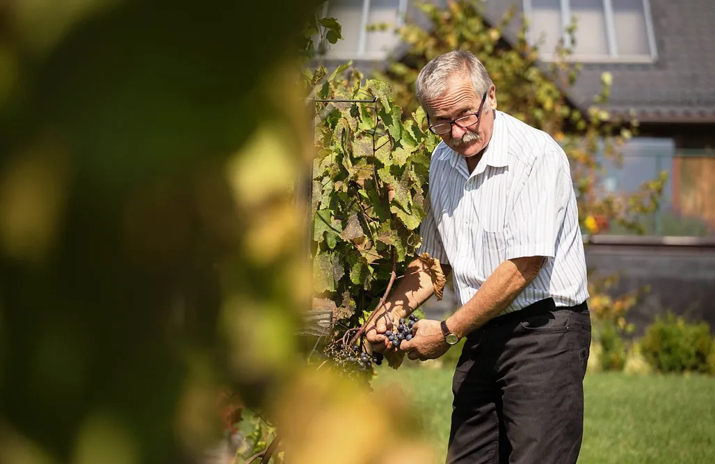 Weekend Dla Dwojga Beskidy Miejsce kamperowe i namiotowe - Winnica Dosłońce 2
