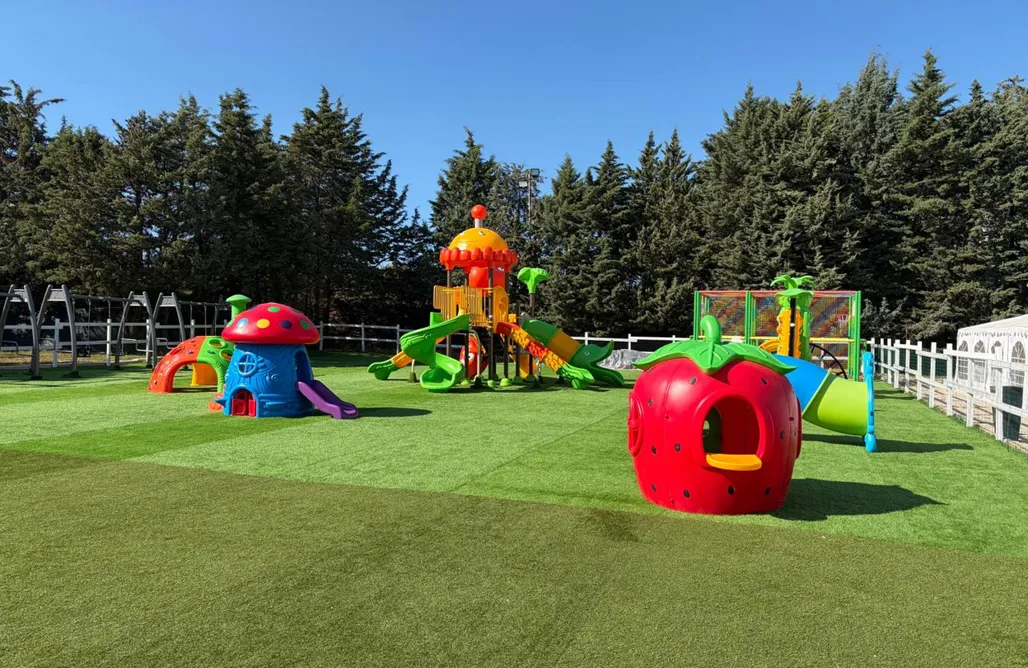 Pet-Friendly Accommodations Tenuta San Tommaso 1