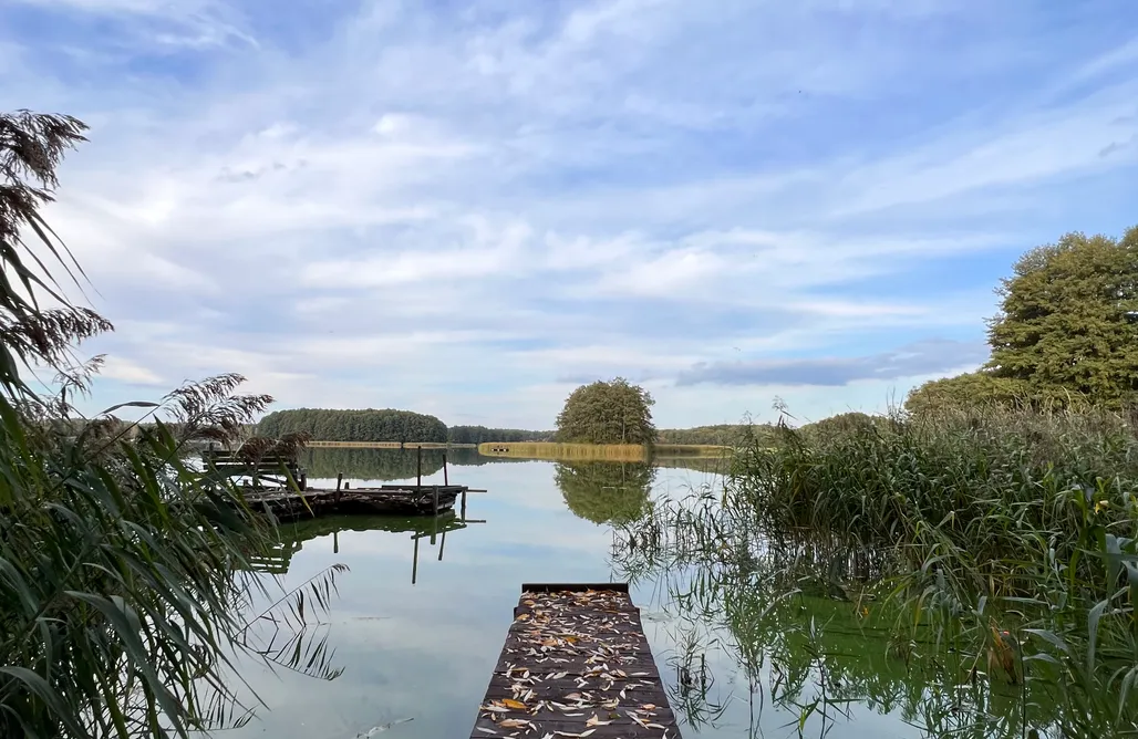 Unterkunft AlohaCamp Drewniany domek w lesie 1