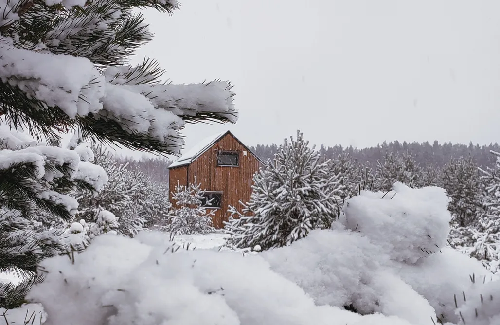 hebergement AlohaCamp Przyjedź Tutaj 5