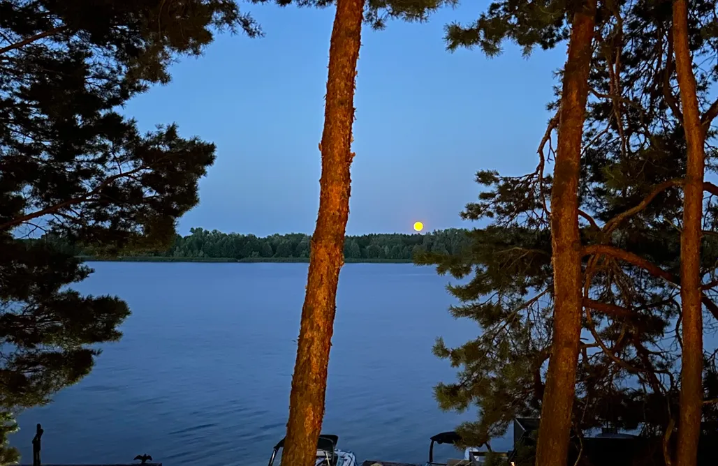 Domek Na Wynajem 🏡 Nad Narvią - Dom na drzewach 1
