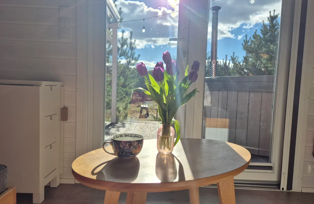 Gdzie Nad Jezioro Tajnikowo Wasabi 1