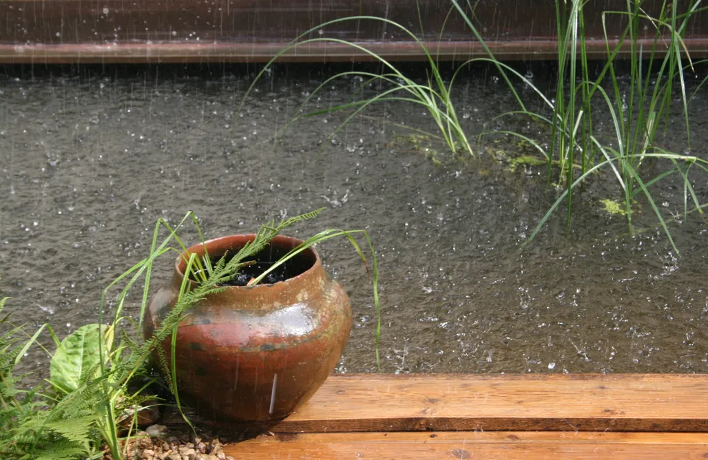 Agroturystyka Świnoujście room art lovers 3