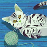 Adina Nicole usuario