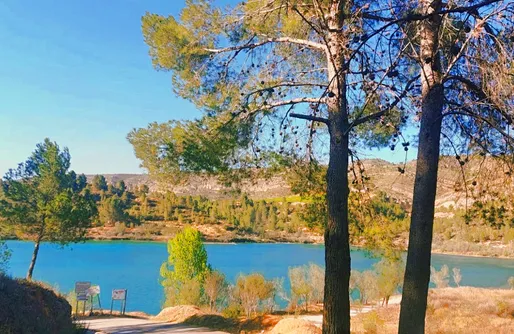 Imagen de In the Pines - caravana