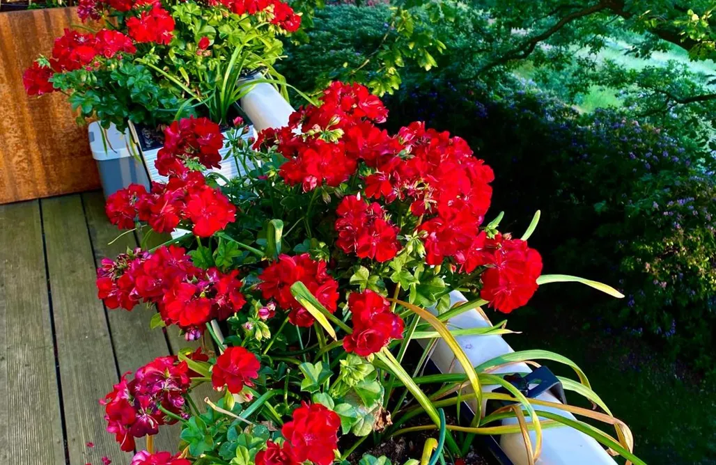 AlohaCamp accommodation Ferienwohnung Natur und Kunst 1