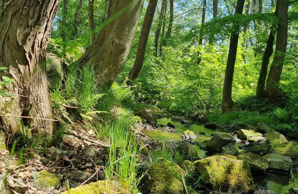 AlohaCamp Strøme Czerwony 1