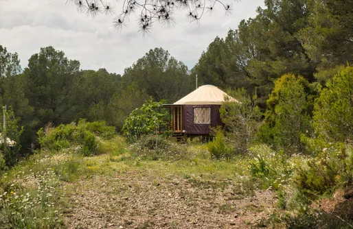 Imagen de La Muntanera