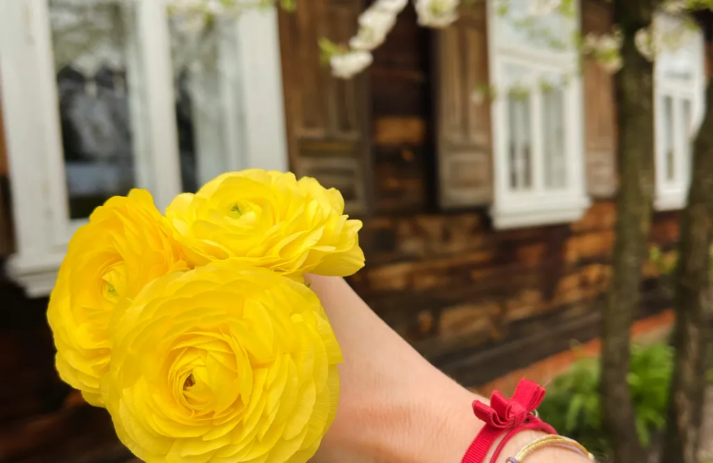 alojamientos AlohaCamp Inna Bajka 1