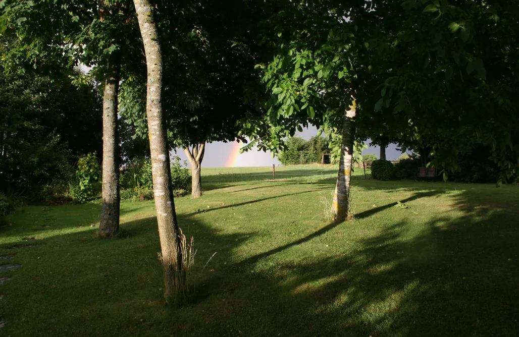 Unterkunft AlohaCamp room art lovers 5