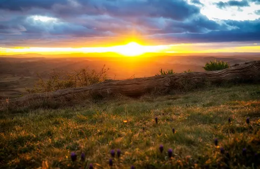 Imagen de Masía el Cabrero