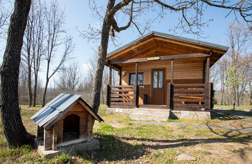 AlohaCamp VALDESINGRO 2