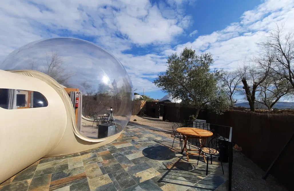 AlohaCamp Yuri Premium King 1