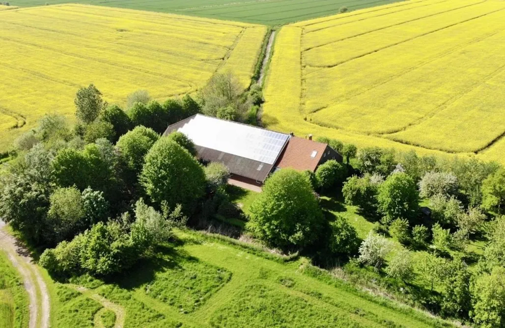 Ferienhaus direkt am Strand Drei Tage am Meer - Am Giebel (Wohnung 1) 2