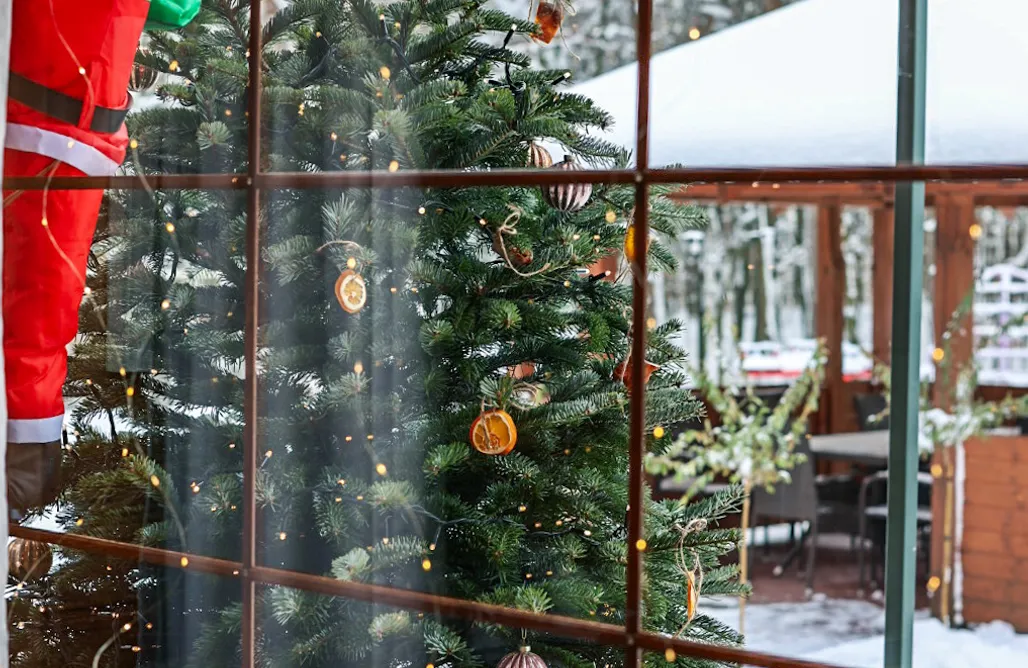 Unterkunft AlohaCamp Dom to za mało - prywatne jacuzzi 1