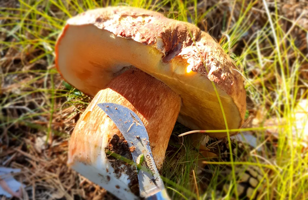 noclegi AlohaCamp Casa del Altozano 3