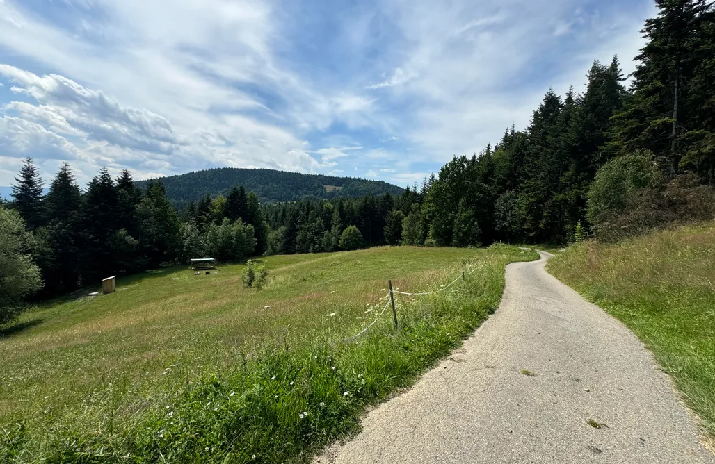 AlohaCamp Miejsce na platformie 1