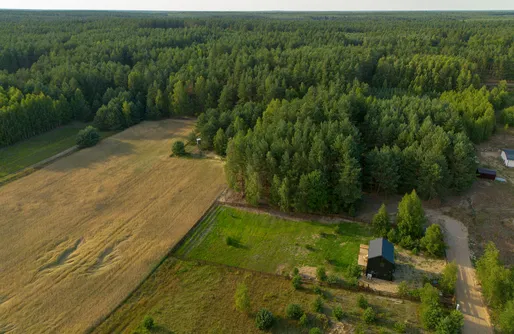Zdjęcie obiektu Bory Za Płotem