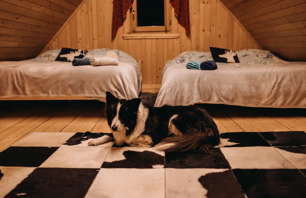 AlohaCamp Chata w Górach  2