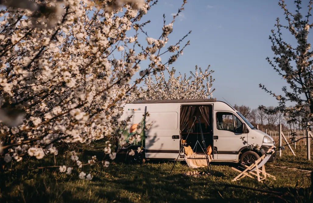 noclegi AlohaCamp Miejsce kamperowe - Winnica Ślężańska 2