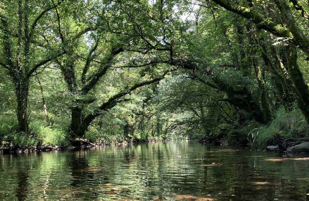 AlohaCamp Casa O Lar 1