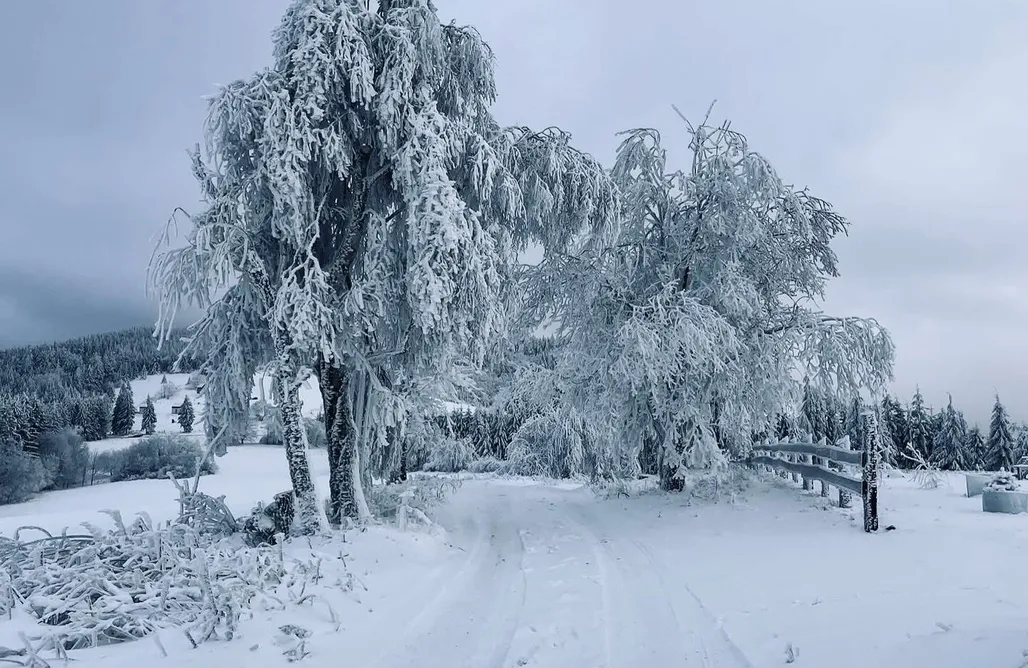 AlohaCamp Domki z widokiem na Sowę 1