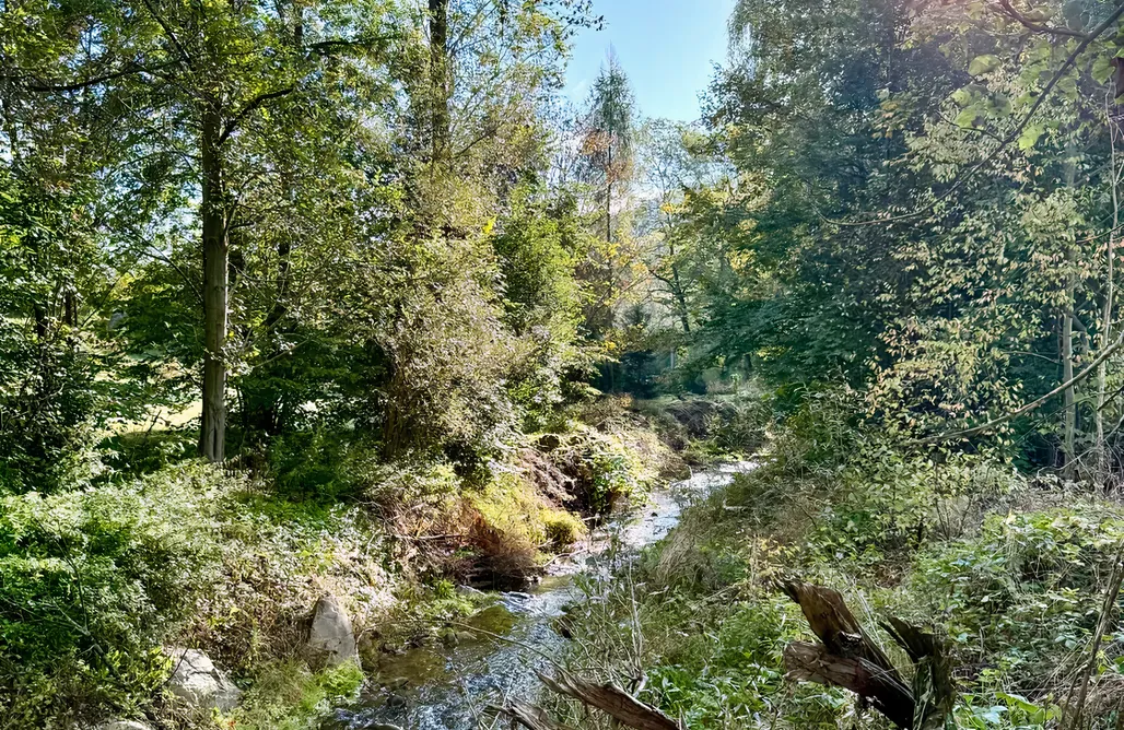 noclegi AlohaCamp Apartamenty Villa Pippi  5