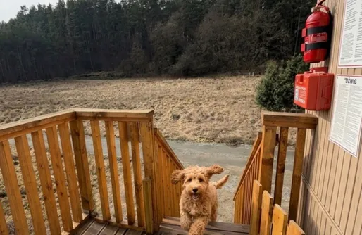 Zdjęcie obiektu Domki na drzewie - Kołobrzeg - Sauna - PolanaGlamp