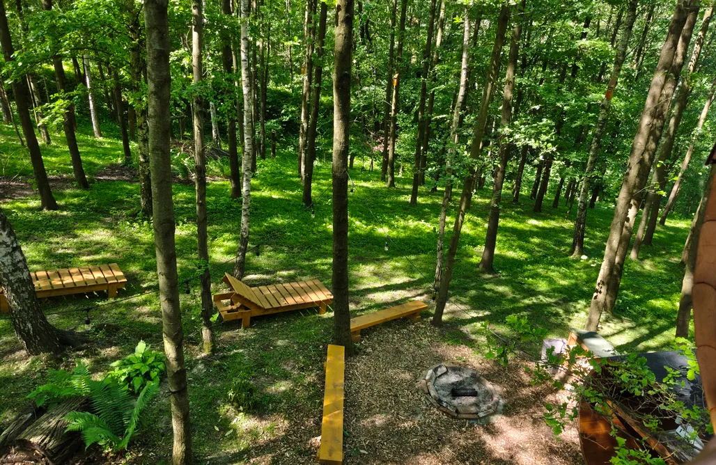 Domki Na Wynajem Leśne Spanie Glamping domek na drzewie  1