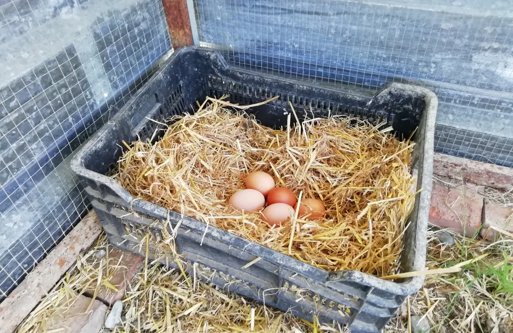 alojamientos AlohaCamp Finca Azahar 1