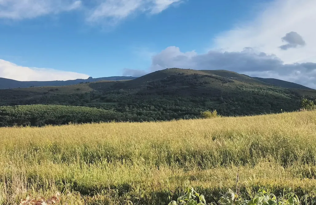 alojamientos AlohaCamp NeilaRural  3