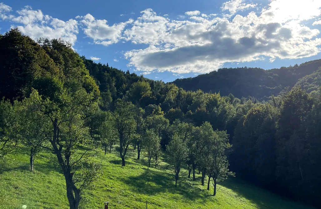 Pieniny Nocleg Domek u Gazdy 1