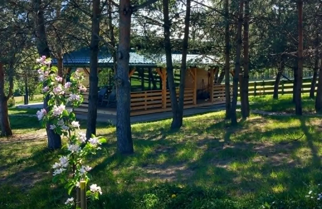 ubytování AlohaCamp Leśny Domek 1