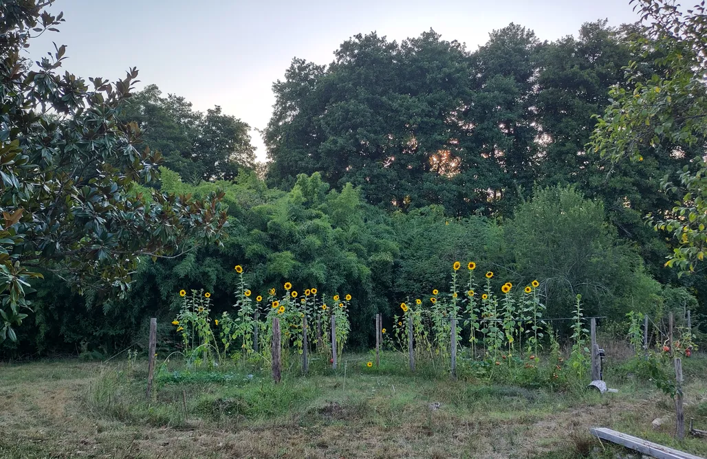 Alojamientos en Pamplona La longère aux agrumes 1