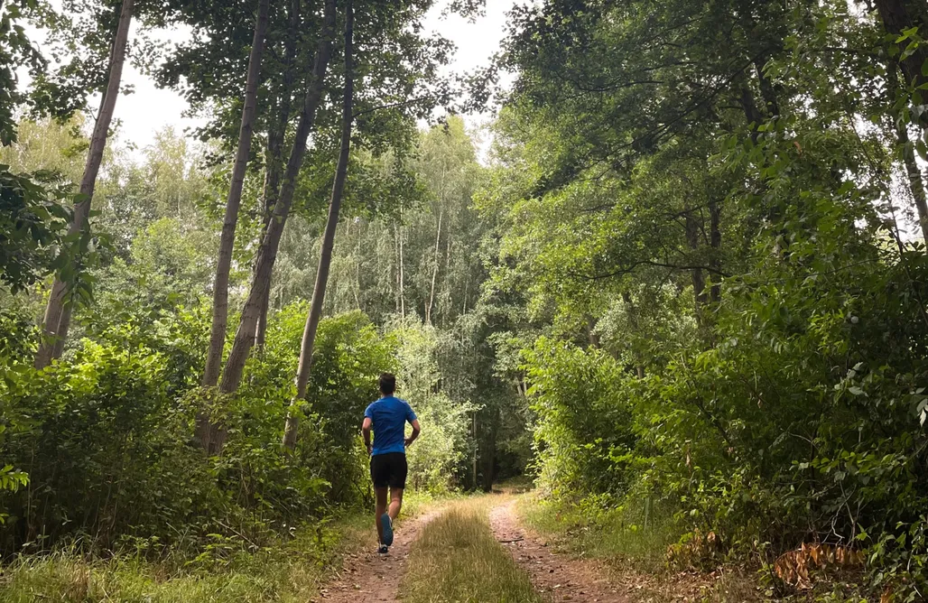 Domek W Lesie Nad Jeziorem Pan Brda 1