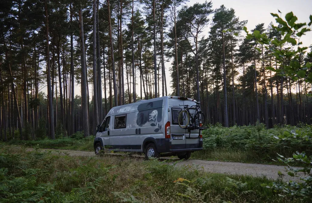 Wypożyczalnia Kamperów Campervan - Leśny dom na kółkach 3