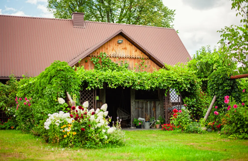 Wakacje First Minute Chałupka na Brodziakach 3