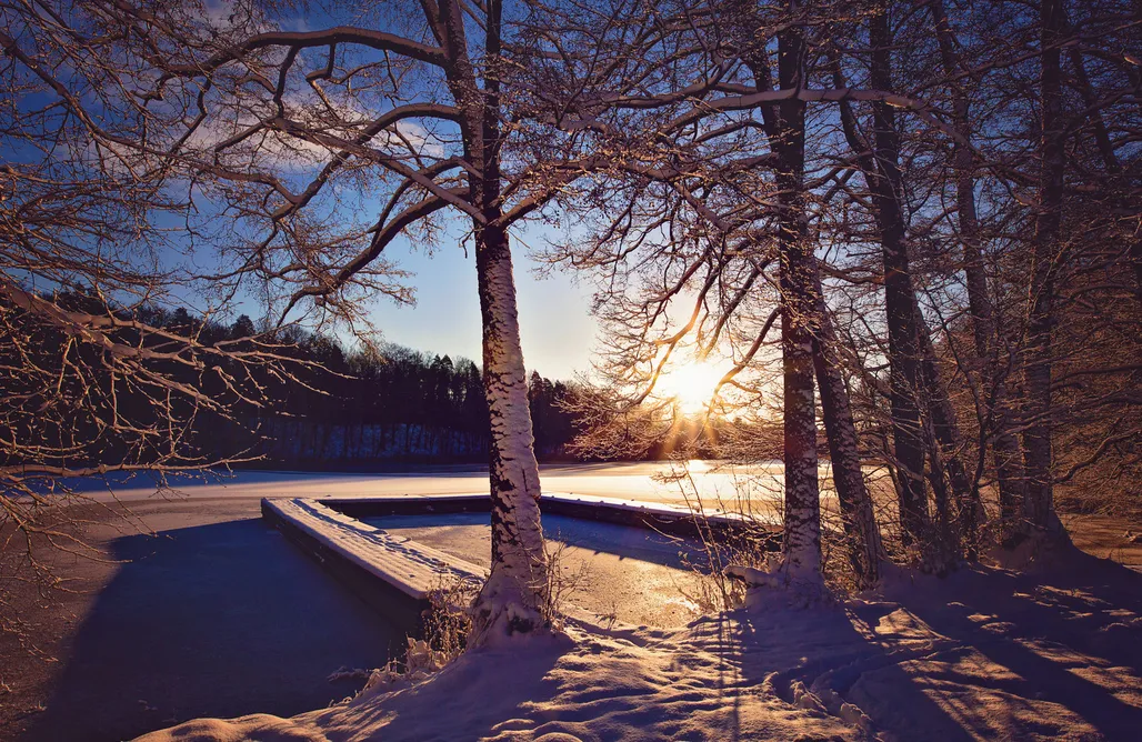 ubytovanie AlohaCamp Winiec Family Houses 5