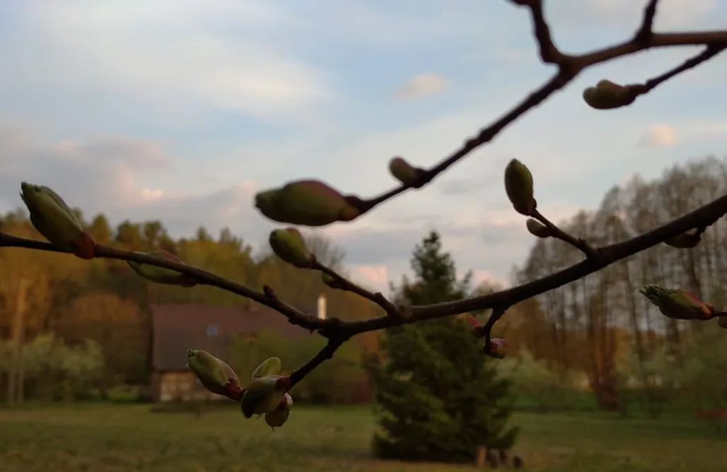 noclegi AlohaCamp Miejsce kamperowe i namiotowe - Grotów 5  1