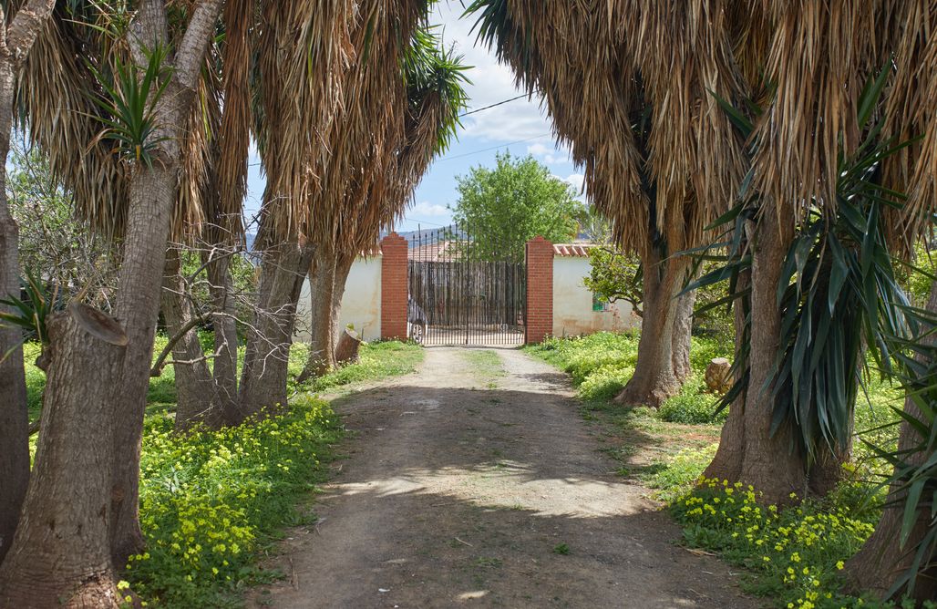 AlohaCamp accommodation Finca La Madreselva 1