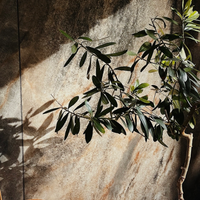 Joanna i Paweł gospodarz Warm.ia107 - butikowy dom nad jeziorem