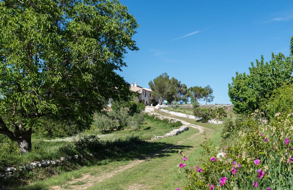 alojamientos AlohaCamp Casas Benali 4